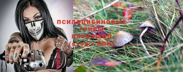 дмт Беломорск