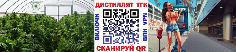 Купить  Кукмор  ТГК жижа 